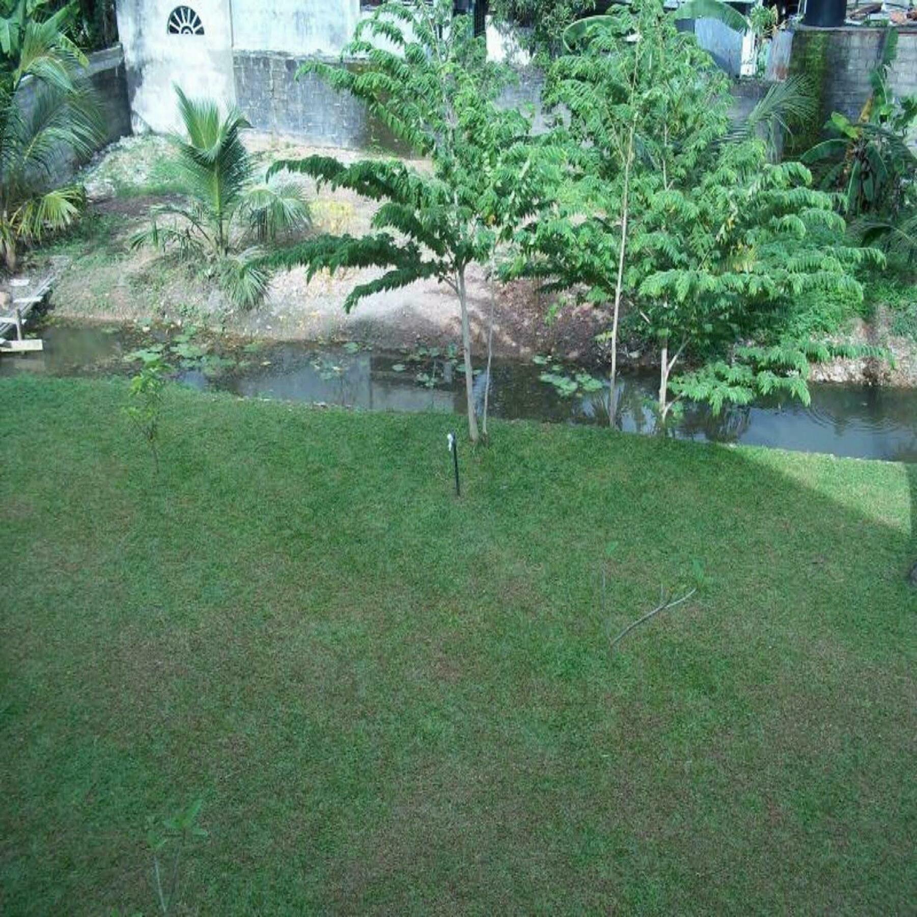 Sunrise Palace Negombo Esterno foto